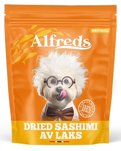 Dried Sashimi av Laks