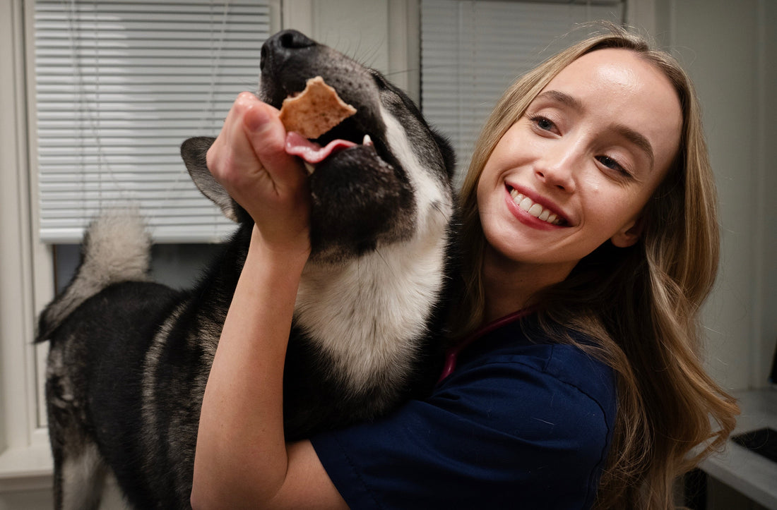Veterinæren - en viktig støttespiller