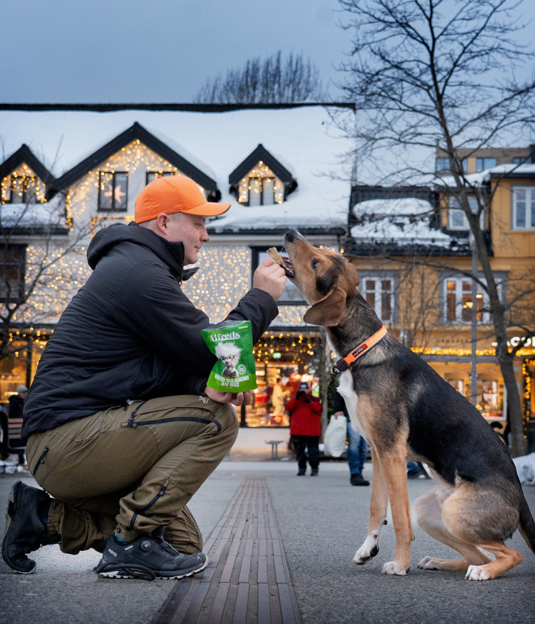 Hund + tørrfisk = En sikker vinner!