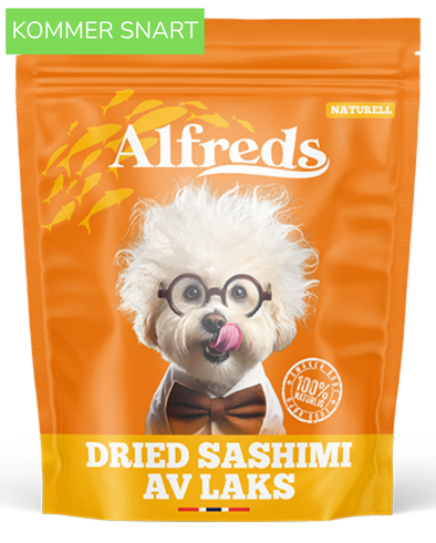 Dried Sashimi av laks